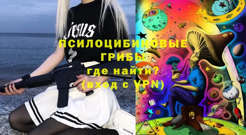 OMG   Кулебаки  Галлюциногенные грибы Magic Shrooms 